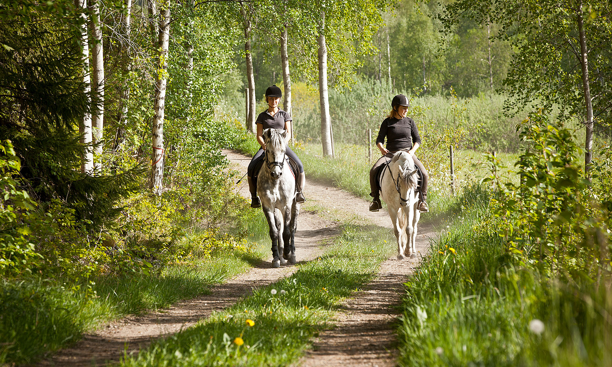 Marie Djerf horse riding